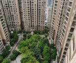 白鹤香洲