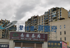 碧桂园南国府