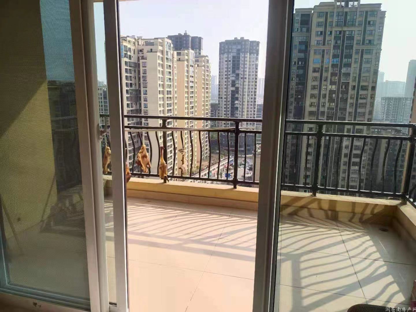 微信图片_20231106103655