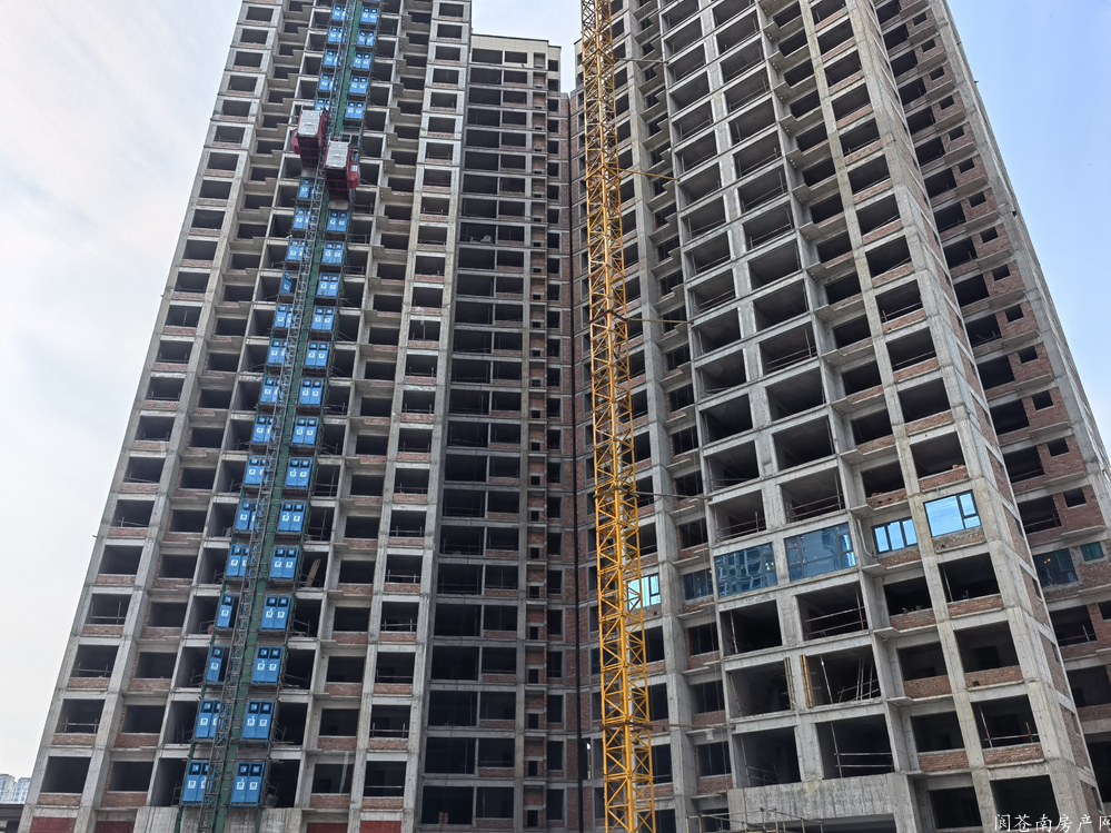实景图